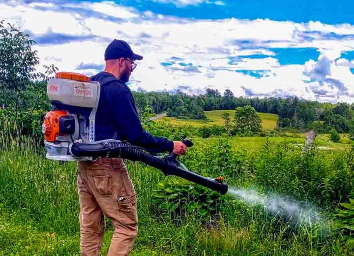 Wildlife Chief technician spraying a wooded yard edge for ticks and mosquitoes
